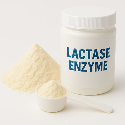 Harga yang bagus Enzim Beta-Galactosidase Pengganti Laktase Untuk Produk Susu Bebas Laktosa Enzim Makanan on line