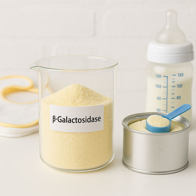 Harga yang bagus Yogurt Susu Bebas Laktosa Warna Kuning Mudah Digunakan Dan Nyaman on line