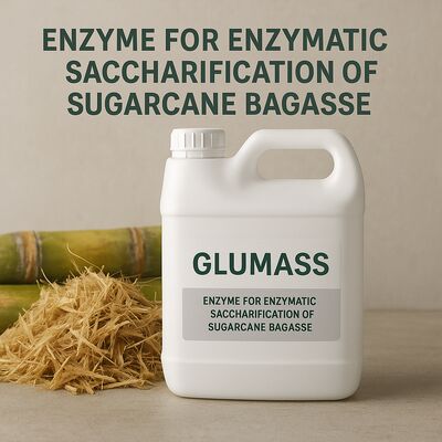 Harga yang bagus Biomass Milling Machine Untuk Straw Corn Cobs Gula Gula Bagasse Dan Bahan Lignocellulosic Lainnya Yang Memastikan Output yang Stabil on line