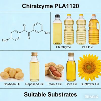 Harga yang bagus Chiralzyme PLA1120. Enzim kelas makanan untuk pengolahan minyak hemat biaya on line
