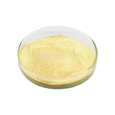 Harga yang bagus Industri Enzim Lipase Air Minyak Menggunakan Biokatalisis Lipid Meningkatkan Kecernaan Lemak on line