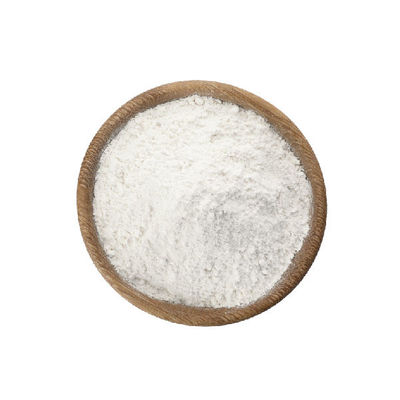 Harga yang bagus Suplemen Probiotik Bifidobacterium Infantis 100 Miliar on line