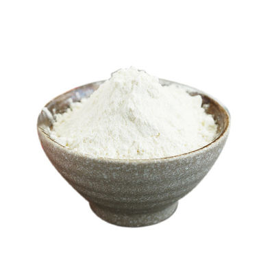 Harga yang bagus Senyawa Probiotik Manusia 100B CFU on line