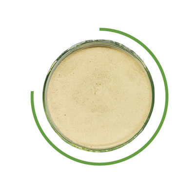 Harga yang bagus Enzim aditif makanan untuk film yang dapat dimakan mengubah kasein menjadi kemasan ramah lingkungan melalui enzymatic cross-linking on line