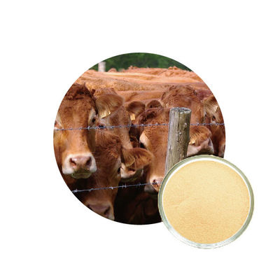 Harga yang bagus Enzim Protease Alkali Dalam Pakan Unggas on line