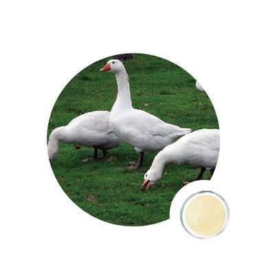 Harga yang bagus 50000U g Nsp Enzim Pada Unggas on line