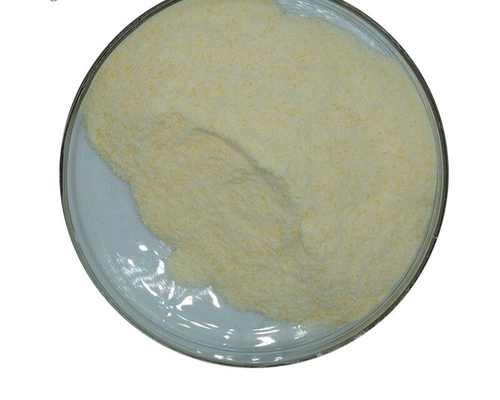 Harga yang bagus CAS 9001-62-1 99% Lipase Enzyme Powder Food Grade Additive on line