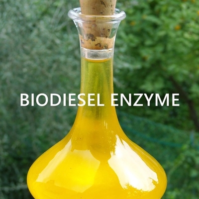 Harga yang bagus Rekayasa Enzim Lipase Untuk Aplikasi Minyak Bioenergi Berkelanjutan on line