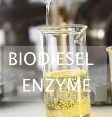 Harga yang bagus 25KG/Kantong Biodiesel Berkinerja Tinggi Enzim Meningkatkan Produksi Biofuel on line
