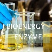 Harga yang bagus ISO Lipase Catalyzed Konversi Minyak Jelantah Menjadi Biodiesel on line
