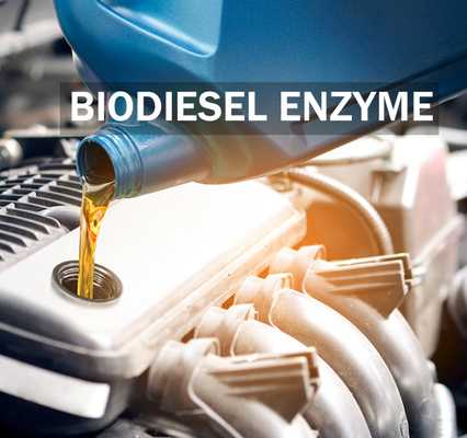 Harga yang bagus Meningkatkan Kestabilan Enzim Lipase Untuk Peningkatan Hasil Dan Kualitas Biodiesel on line