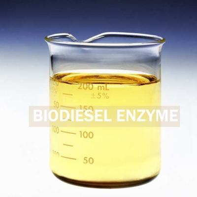 Harga yang bagus Menghasilkan Enzim Biosurfaktan Lipase Untuk Pemulihan Biodiesel yang Lebih Baik on line
