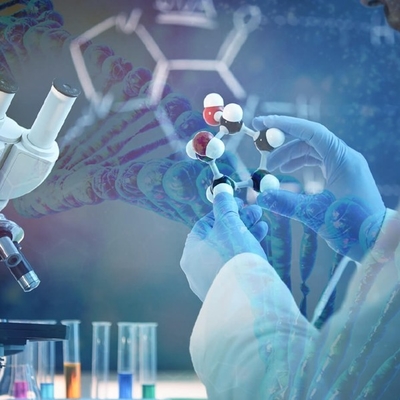 Harga yang bagus Maju dalam Persaingan: Memanfaatkan Potensi Penuh Candida Antarctica Lipase B on line