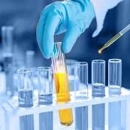 Harga yang bagus Alami Peningkatan Efisiensi Dan Presisi Dalam Produksi Farmasi Dengan Enzim CALB on line