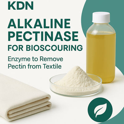 Harga yang bagus Efisien, Ekonomi & Ramah Lingkungan: Mitra Bioscouring Anda di Alkaline Pectinase on line