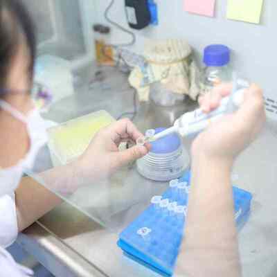 Harga yang bagus Peptida Dan Reaksi Asam Amino Enzim Deterjen Kompatibel Dengan Bahan Deterjen Lainnya Beroperasi Antara 15 hingga 60C on line