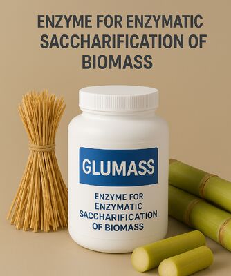 Harga yang bagus Enzim Efisiensi Tinggi untuk Sakarifikasi Biomassa Lengkap on line