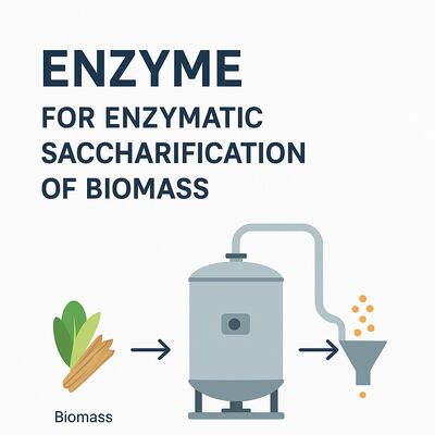 Harga yang bagus Enzim Alkohol yang Memberikan Degradasi Alkohol dan Peningkatan Aktivitas Katalitik untuk Proses Bioteknologi on line
