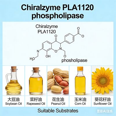 Harga yang bagus Chiralzyme PLA1120 | Fosfolipase A1 Efisiensi Tinggi untuk Penghilangan Gum Minyak | KDN on line