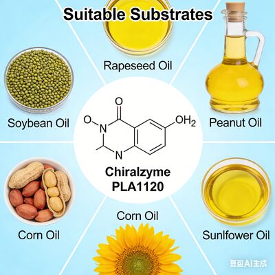 Harga yang bagus KDN Chiralzyme PLA1120: Enzim Degumming Minyak Superior untuk Pemurnian Minyak mentah on line