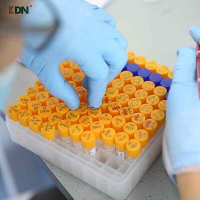 Harga yang bagus Menghilangkan agen pembersih noda minyak Enzim yang menggunakan peptida dan asam amino yang dioptimalkan untuk aplikasi pembersih tugas berat on line