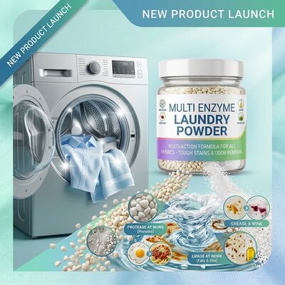 Harga yang bagus Multi Enzyme Household Cleaner Powder Protease Amylase Lipase Cellulase Semua Tujuan Pembersihan Rumah on line