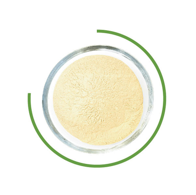 Harga yang bagus Trichoderma Reesei Cellulase Washing Powder Enzim Mikroba Dalam Industri Tekstil on line